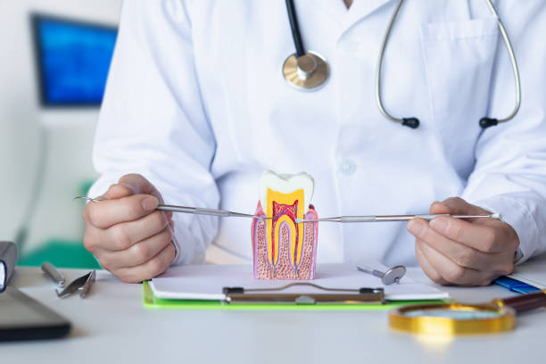 Best Knocked-Out Tooth Emergency  in Franklin, WI